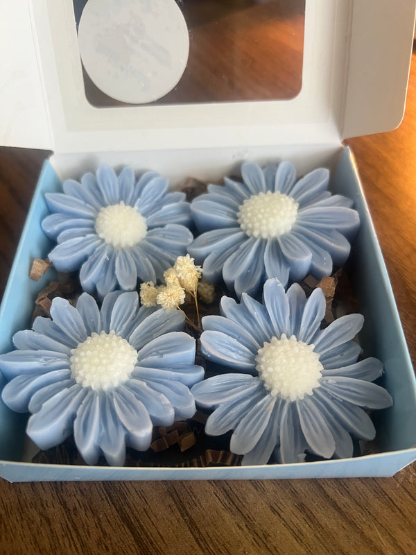 Rainwater Scented Daisy Soy Wax Melt (4 per pack)1.5oz