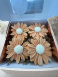 Apple Harvest Scented Daisy Soy Wax Melt (4 per pack)1.5oz
